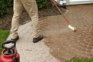 Remove Alge & Mold From Pavers